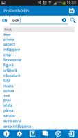 Romanian - English dictionary screenshot 1