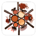 Professional MakeUp Tutorials APK