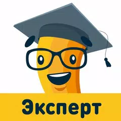 Всё сдал! — удалённая работа APK 下載