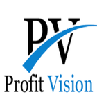 Profit Vision ícone