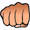 Fight Fury