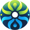 Octowise icon