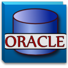 Oracle Interview Questions icône