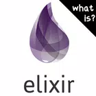 What is Elixir Programming icon