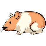 Where’s My Hamster - English 1