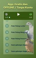 Masteran Burung Anggungan screenshot 2