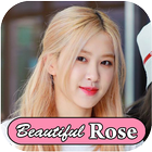 Rosé Blackpink Wallpapers ikona