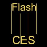 Ces flash
