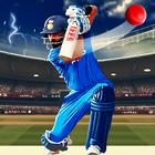 World Cricket championship T20 Zeichen