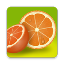 دليل القوارص APK