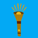 FlashControl APK