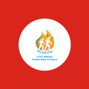 Vietnam Bible Information APK