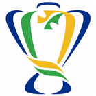 Copa do Brasil 2020-icoon