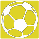 Campeonato Gaúcho 2020 APK