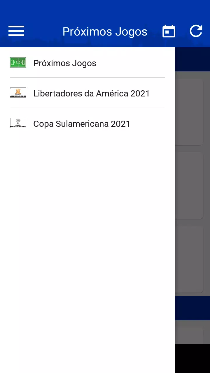 Copa Sul Americana安卓版应用APK下载