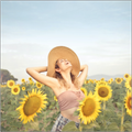 Gallery - Photo Album, Gallery