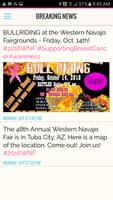 Western Navajo Fair 截图 2