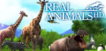 REAL ANIMALS HD