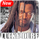 Lucky Dube Mp3 Songs Video APK