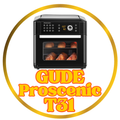 Proscenic T31 Guide