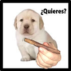 ¿Quieres? : The Game simgesi