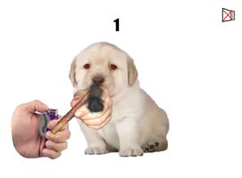 ¿Quieres? : The Game Ekran Görüntüsü 1