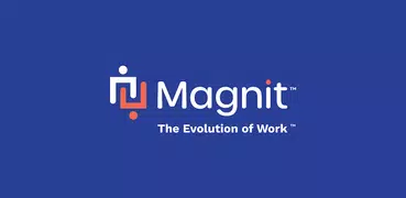 Magnit VMS