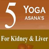 5 Yoga Poses Kidney & Liver أيقونة