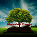 Wisdom Bible Study - Proverbs APK