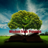 Wisdom Bible Study - Proverbs