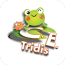 CE TRIDIS APK