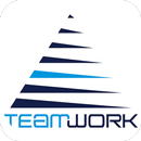 CE TWM FR APK