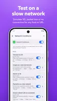 Proxyman 截图 6