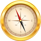 Compass 360 Pro icon