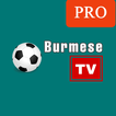 ”Burmese TV Pro