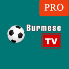 Burmese TV Pro アイコン