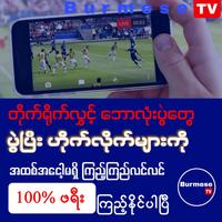 Burmese TV Pro স্ক্রিনশট 2