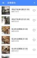 我愛毛小孩 poster