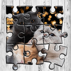 Cat Jigsaw Puzzle আইকন