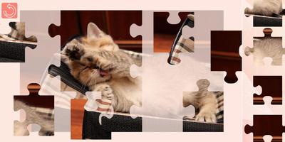 Cat Jigsaw Puzzle পোস্টার