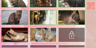 Cat Jigsaw Puzzle screenshot 3