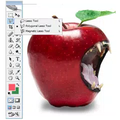Learn Photoshop Pro APK download