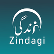 Zindagi أيقونة