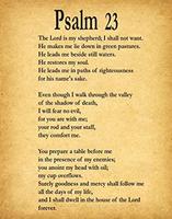 Psalm 23 capture d'écran 2