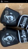 21 Boxing screenshot 2