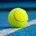 Court4u