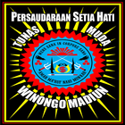 PSHW TUNAS MUDA icono