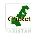 Cricket Original App 2023 APK