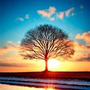 Nature Wallpaper HD Collection APK