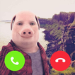 Prank Call With John Pork